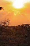 TANZANIA - Serengeti National Park - Tramonto - 3